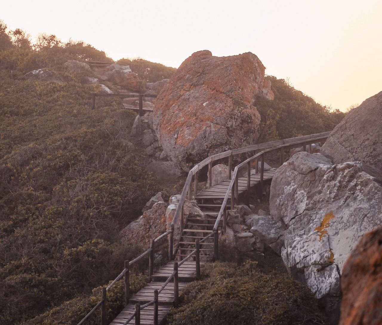 Robberg Peninsula boardwalk