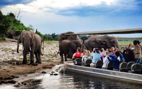 Chobe River Cruise on a 21 Day Namibia and Botswana Overland Comfort Tour
