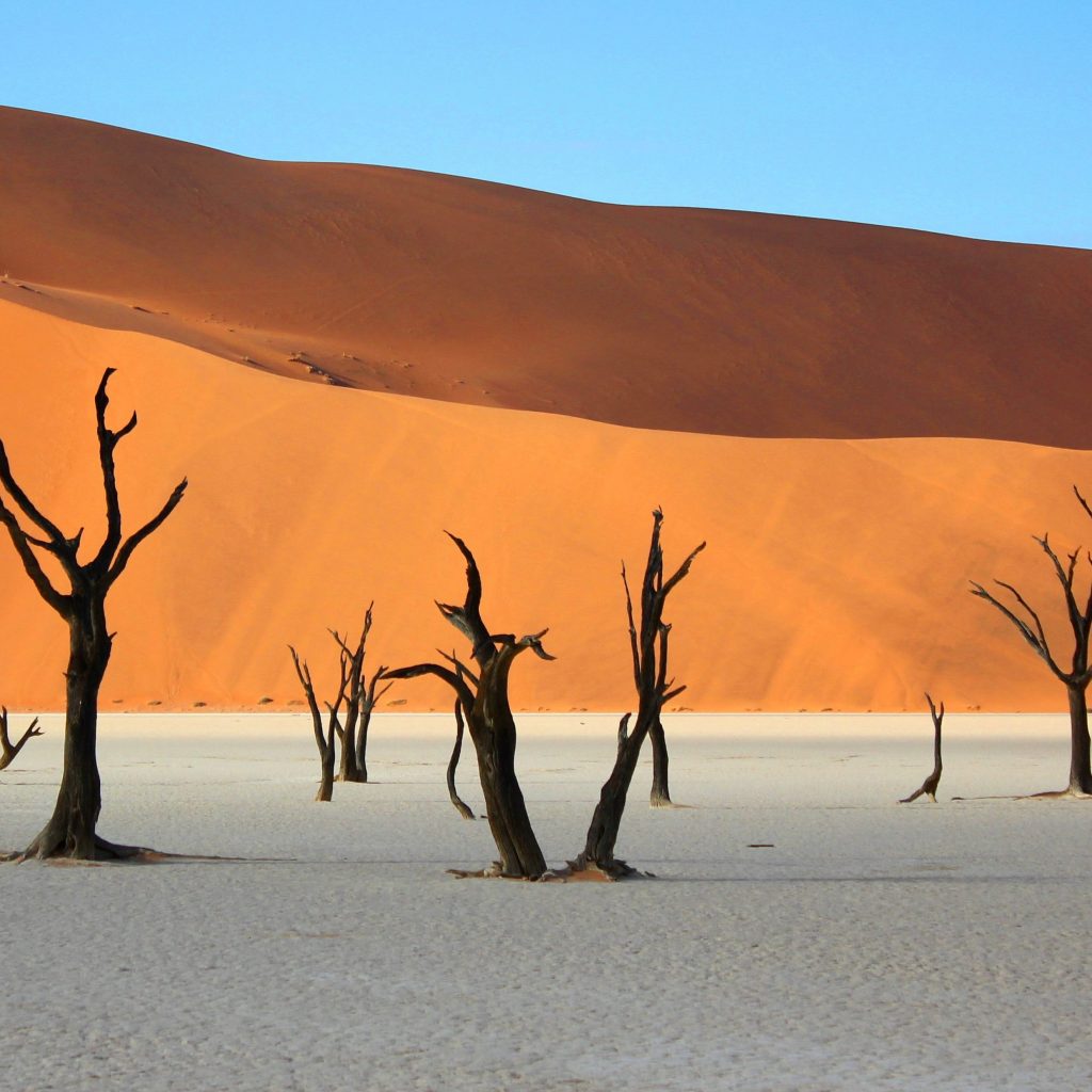 Deadvlei