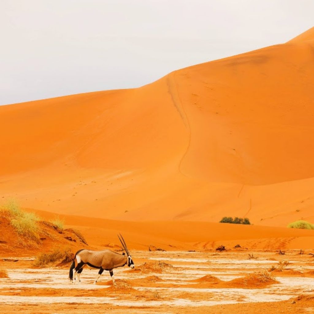 Namibia 
