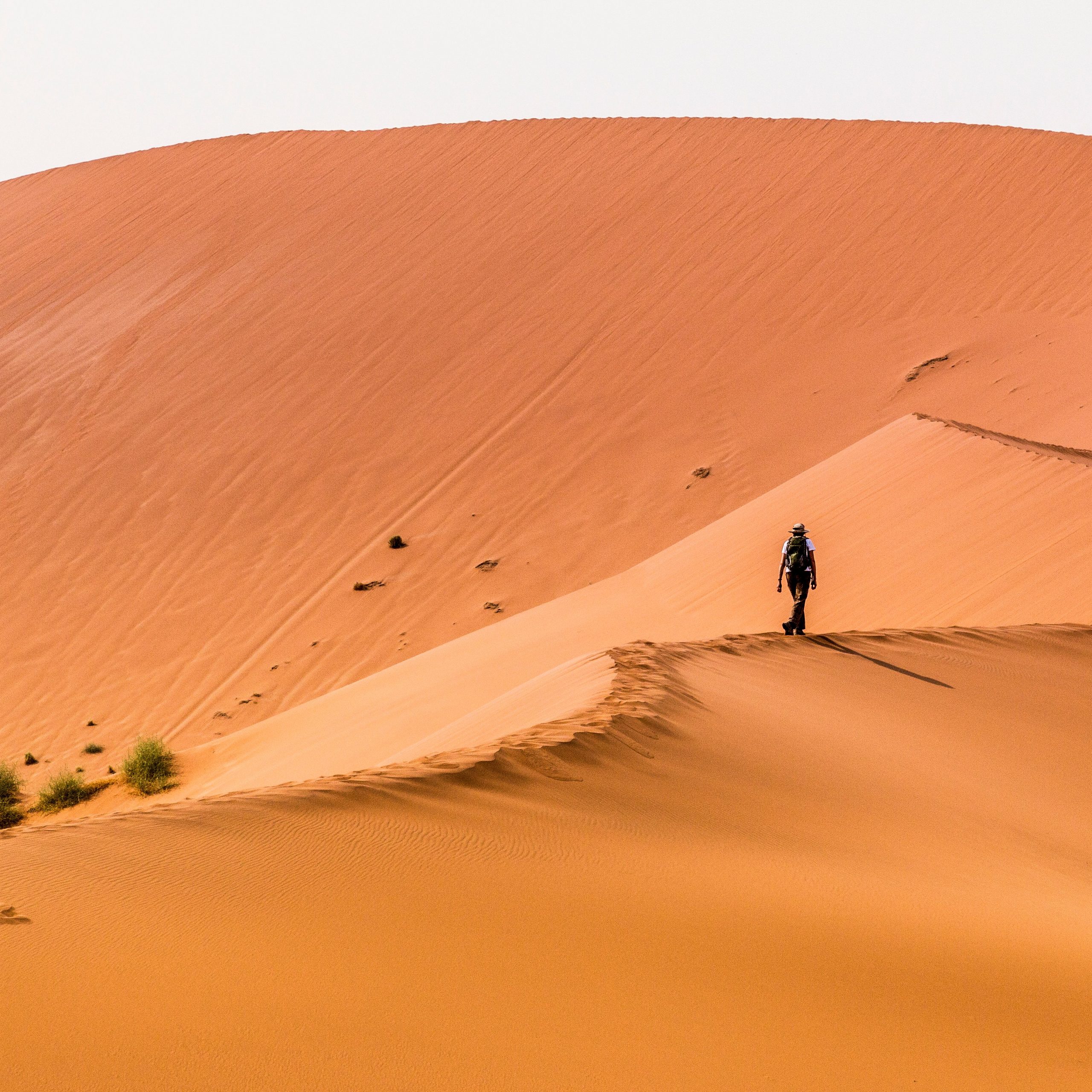 Tick Off These 9 Unforgettable Experiences In Namibia