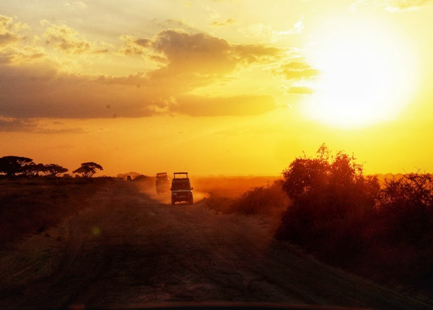 The Best Time of Year to Visit Your Favorite African Countries