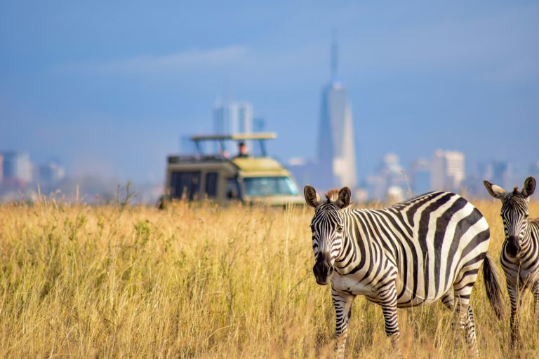Sip, Feast, and Explore: Embracing the Magic of Nairobi