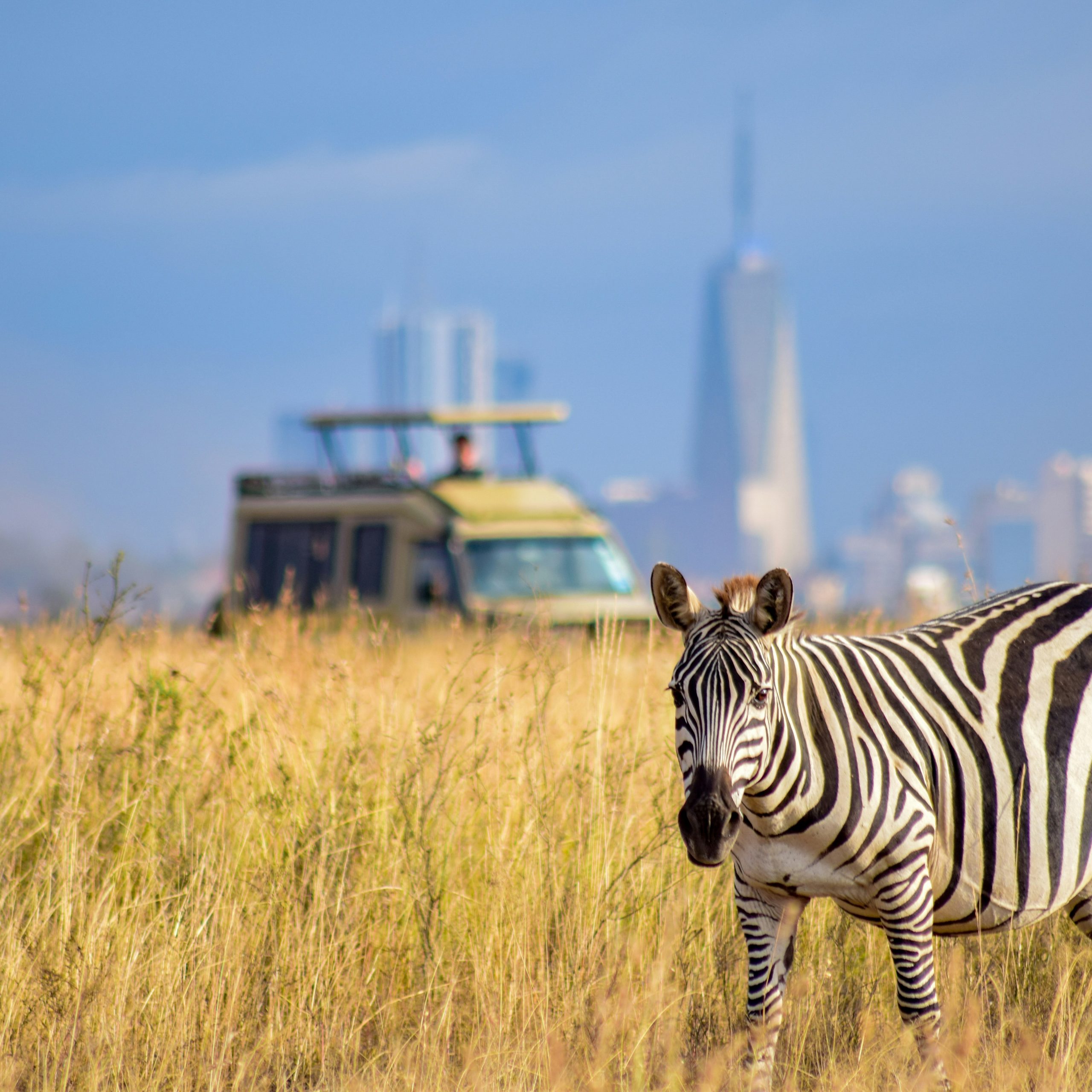 Sip, Feast, and Explore: Embracing the Magic of Nairobi