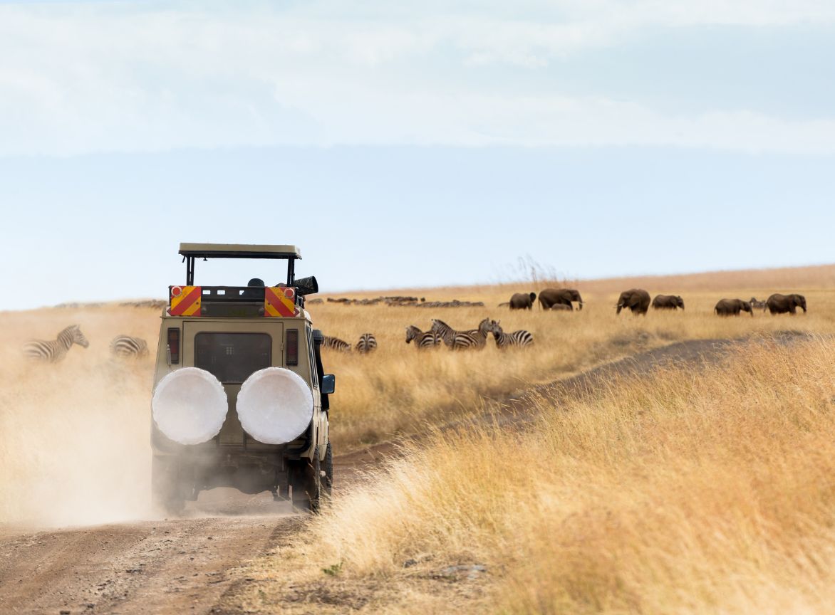 game drive in kruger national park
