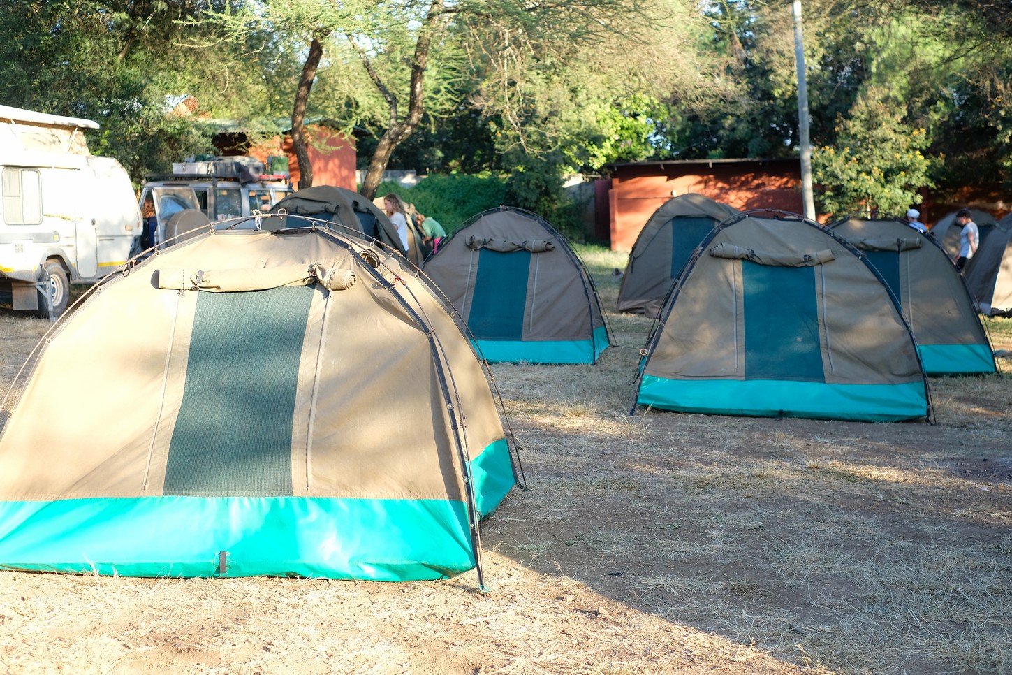 Meserani Snake Park_Arusha Tanzania