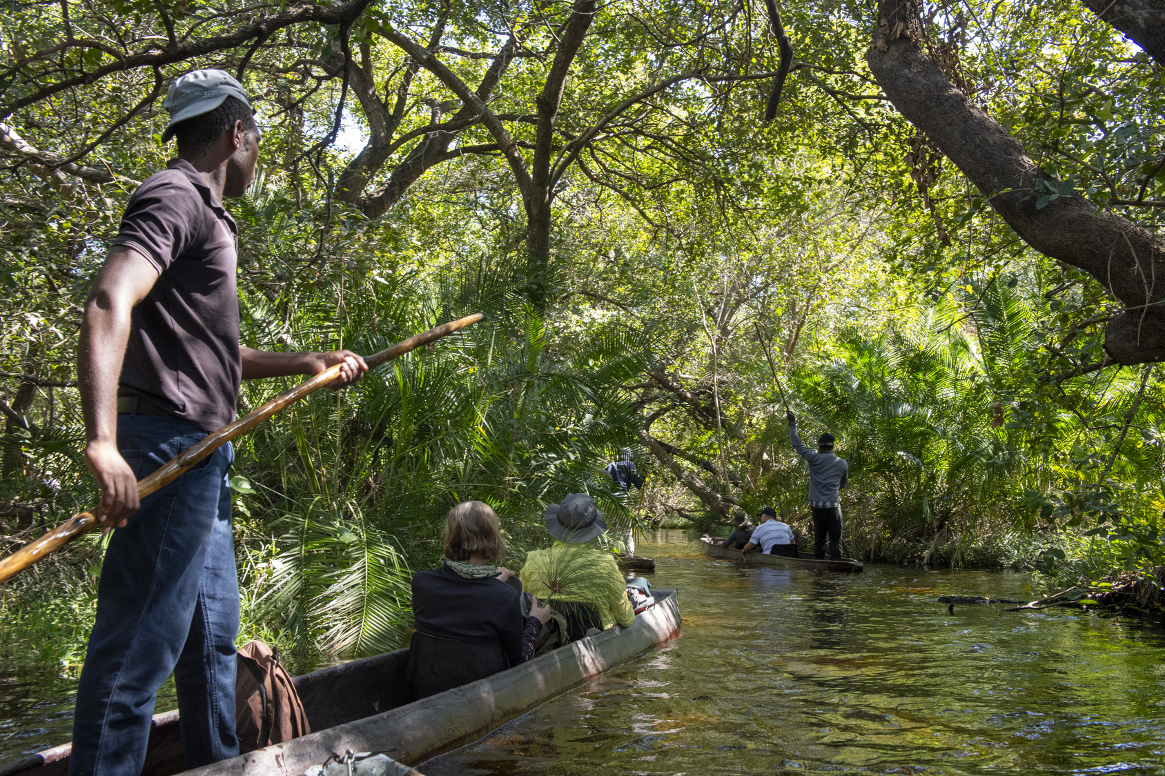 A poler takes guests on a morokoro ride in the Okavango Delta