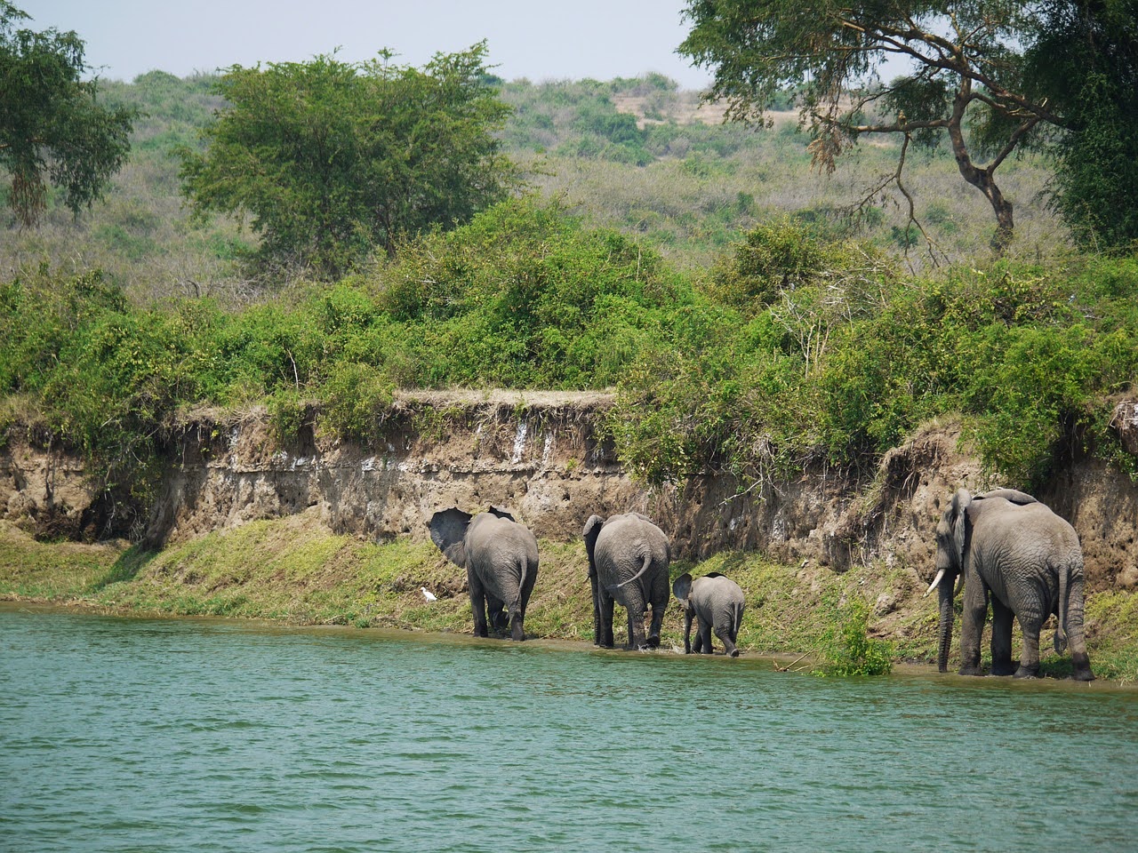 overland tours cape town to victoria falls