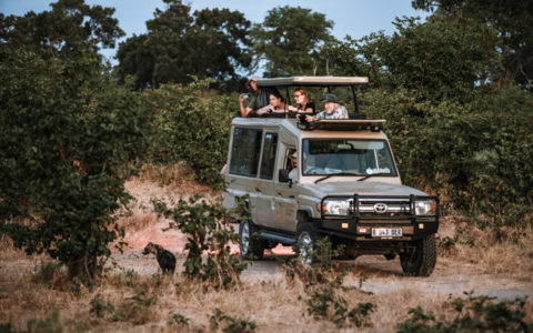 View game for your open top vehicle in Botswana
