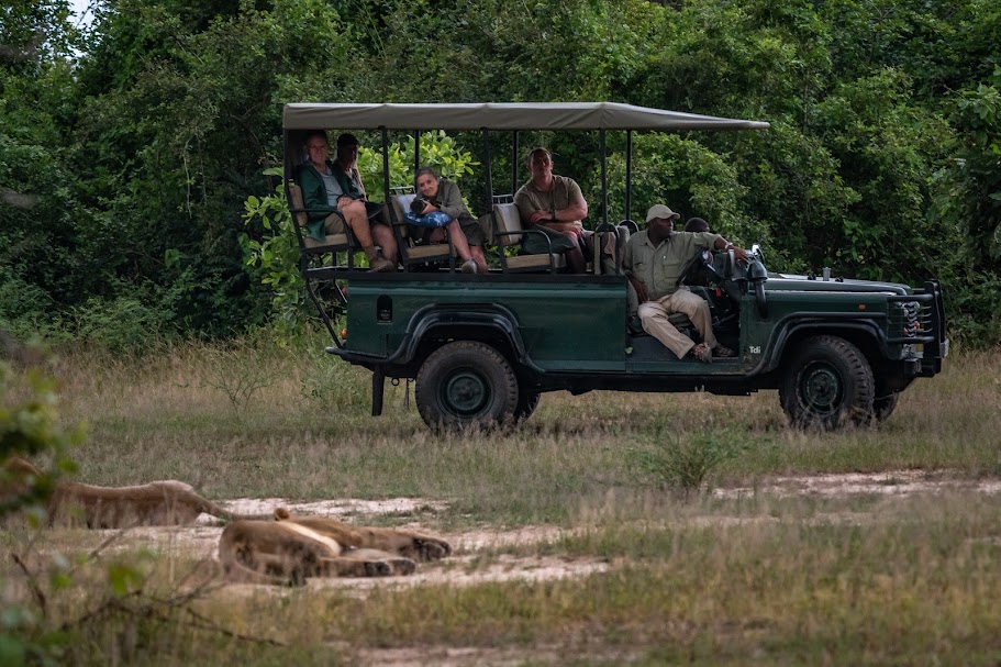 Spotting lion on Safari drive