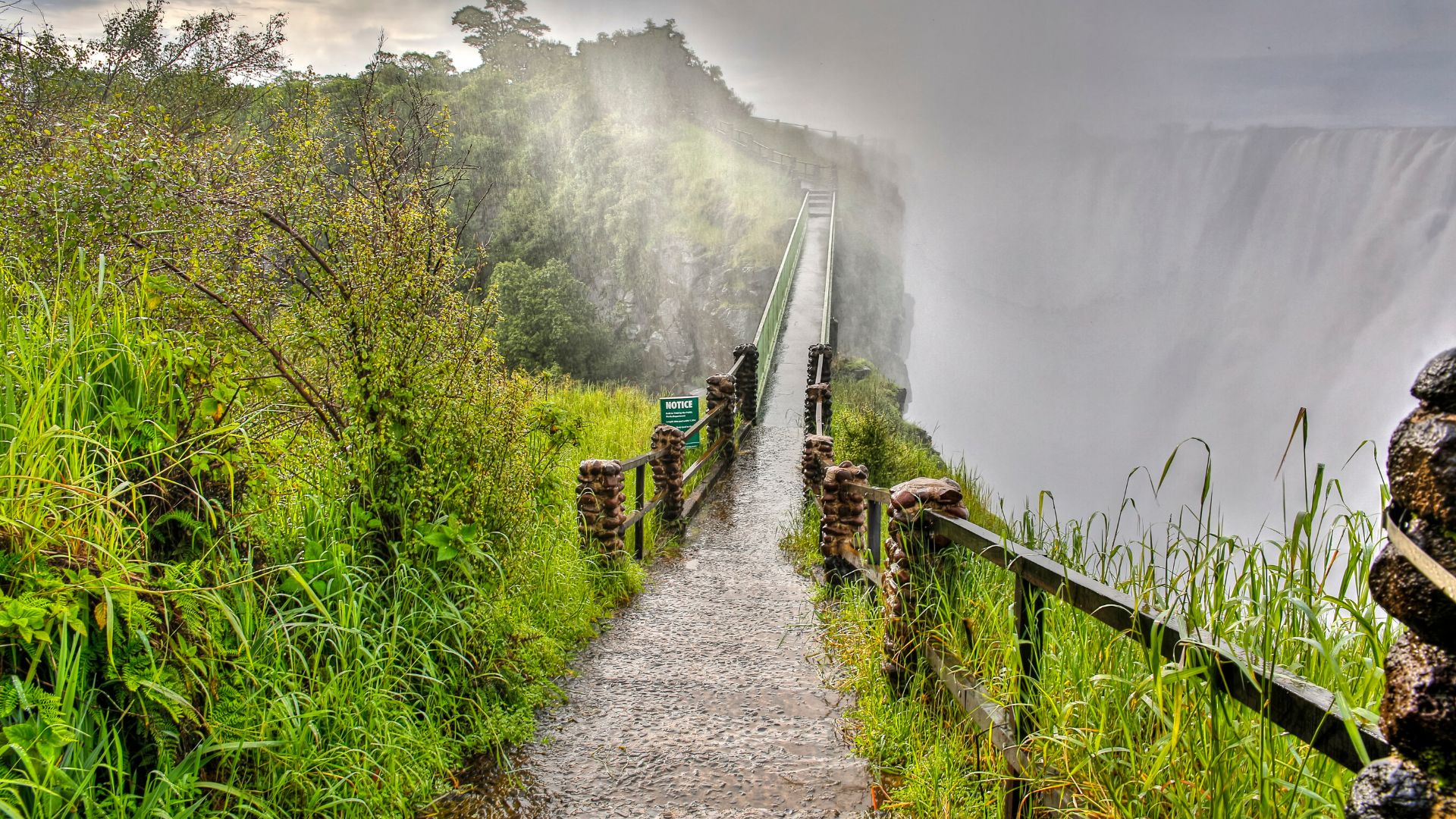 41 Day Cape Town to Kenya Epic Tour Reviews