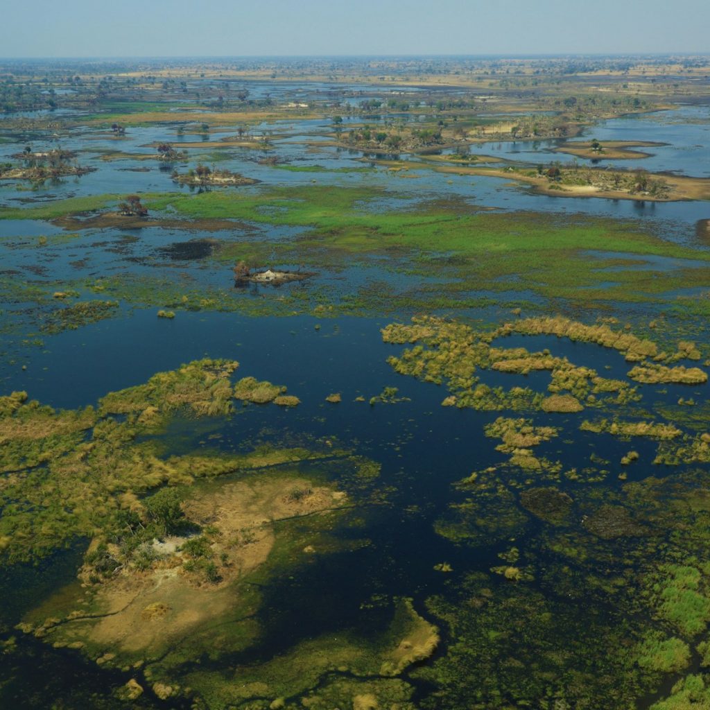 Okavango Delta in peak flooded season