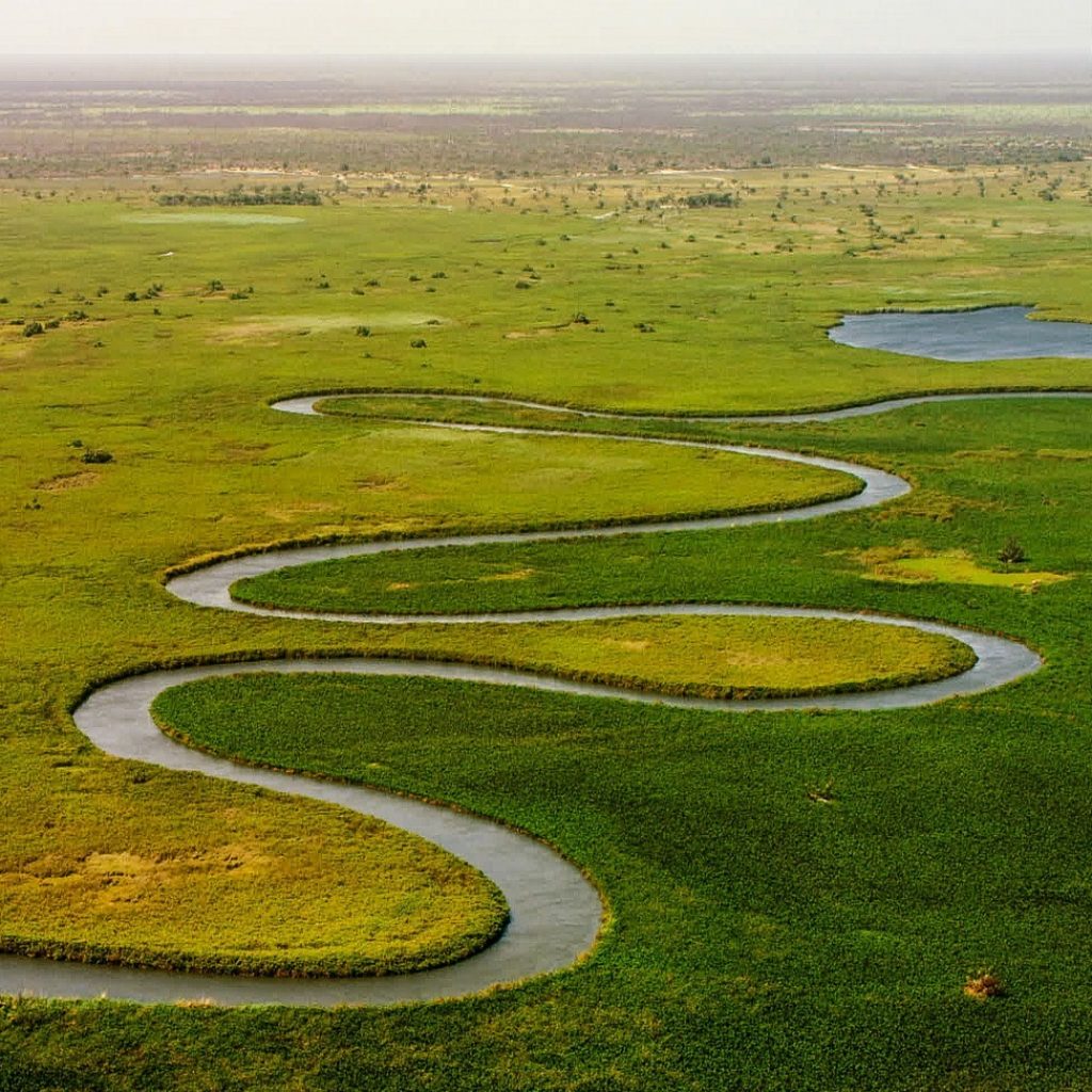 Okavango Delta seen from above(1)