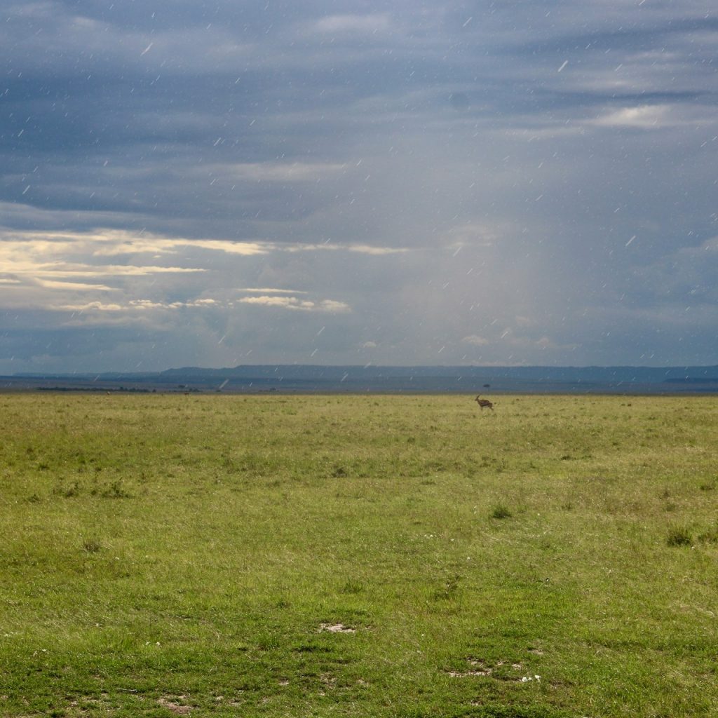 Rain in Kenya on safari