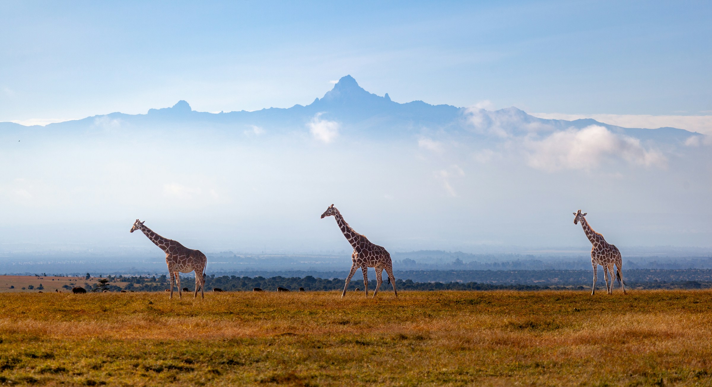 The Rainy Seasons in Kenya and When to Plan Safari, Beach, and Trekking Trips