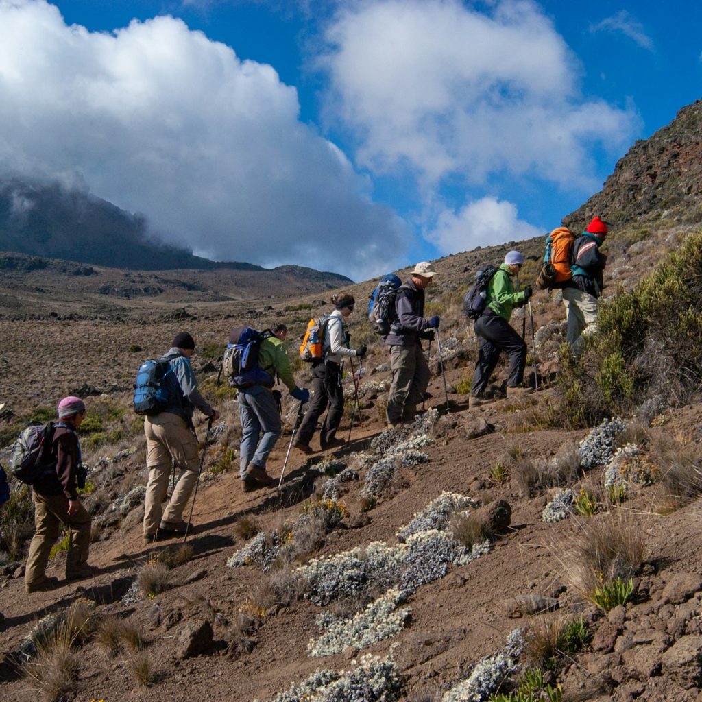 Trekkers in a line climbing the mountain inside Mount Kilimanjaro National Park, northern Tanzania