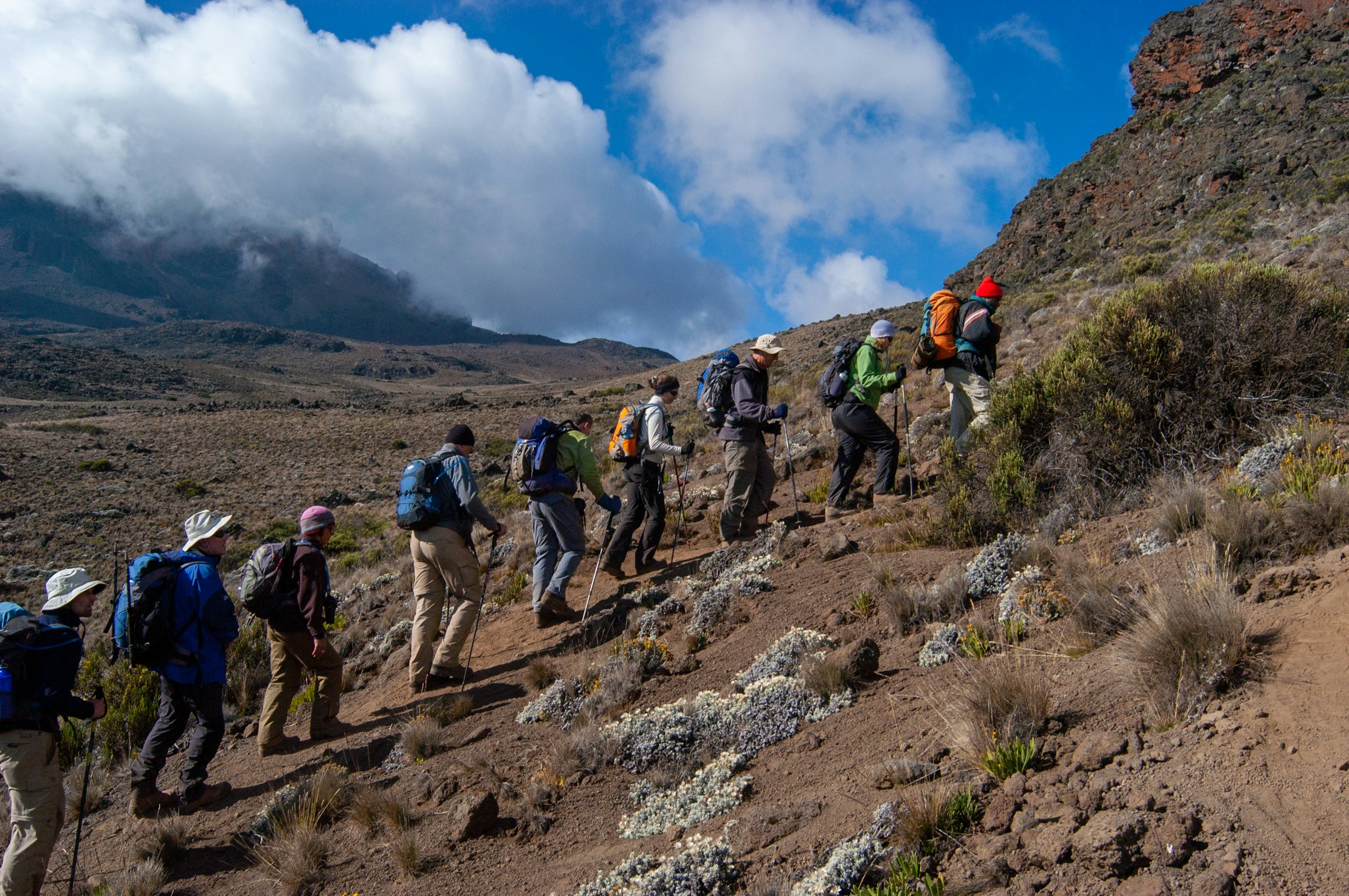 Trekkers in a line climbing the mountain inside Mount Kilimanjaro National Park, northern Tanzania