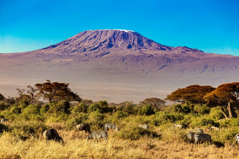 Understanding Mount Kilimanjaro National Park