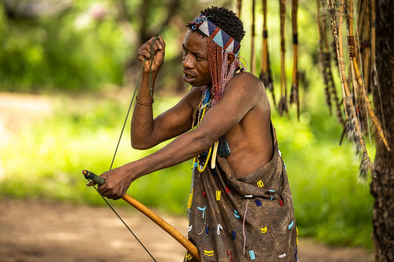 San man with bow and arrow by tree