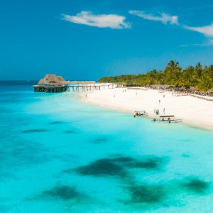 10 Day Highlights of Tanzania South