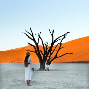 11 Day Namibian Explorer Lodge Tour
