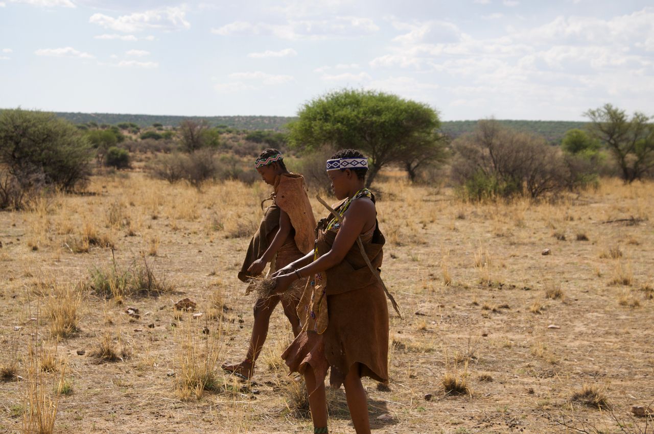 San Bushmen walking in Kalahari Desert