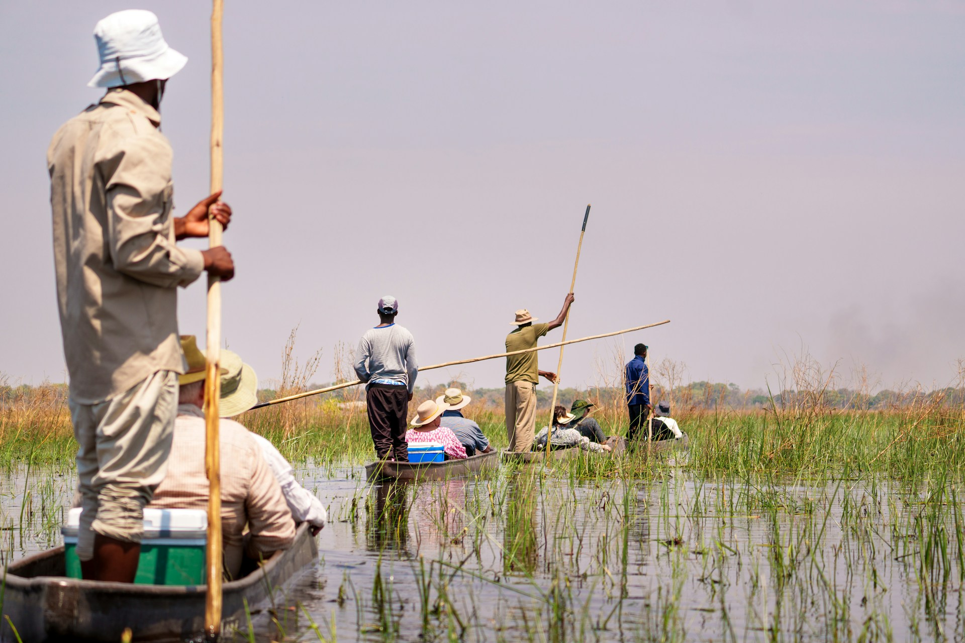 Safarigoers in Okavango Delta on mokoro rides in wetland being poled by local guides