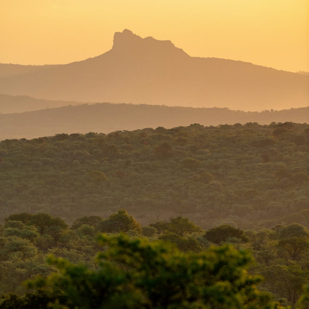 Soft light over hills of Kruger with kopje in distance