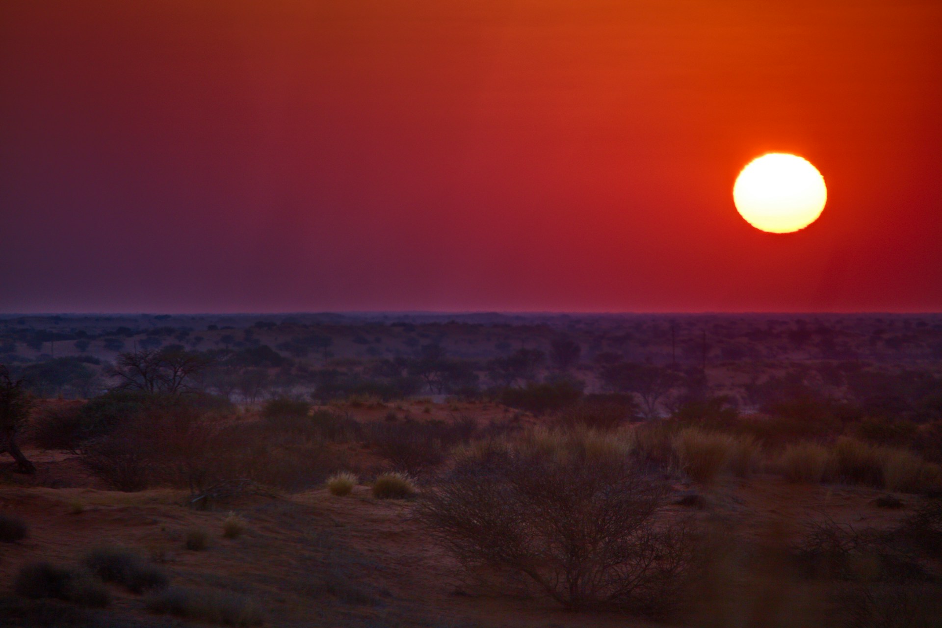 Intense pink sunset over Kalahari Desert