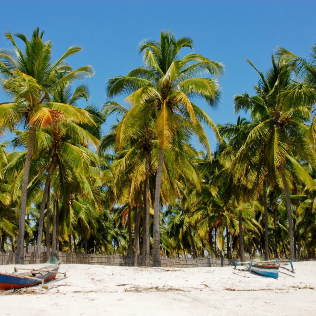 Looking from sea at white sandy beach and palm trees and two rowing boats on Pangane Beach, northern Mozambique