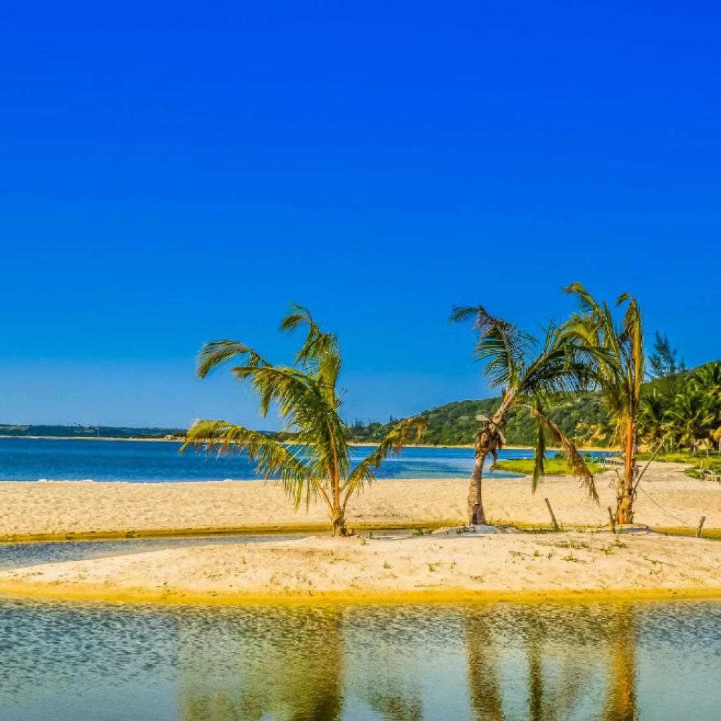 Palm trees on beach and sandbank of Bilene Beach, UEmbje Lagoon, explore southern Mozambique