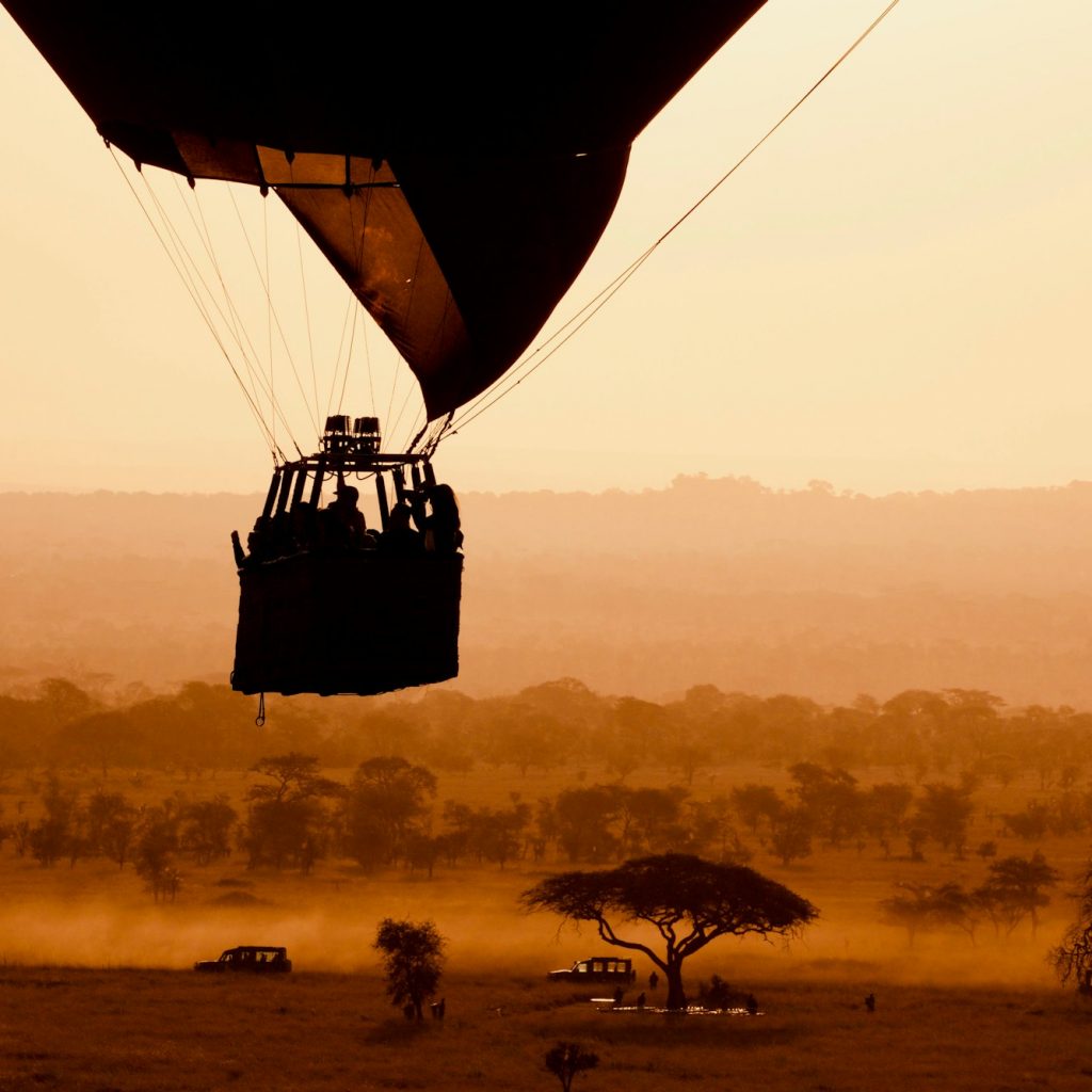 Sunrise hot air balloon ride over Serengeti, African safari