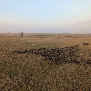 Beat The Crowds: Experience Africa’s Wilderness in Low Season