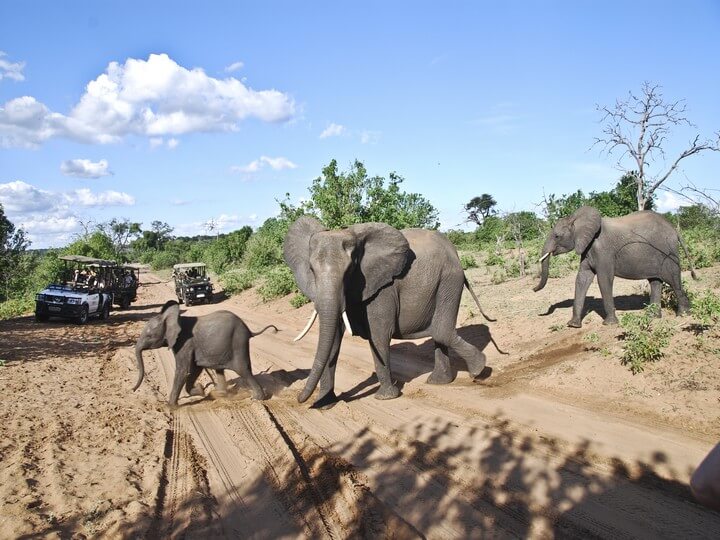 ANC58 Day 42 : Kasane – Elephant Sands, Nata, Botswana