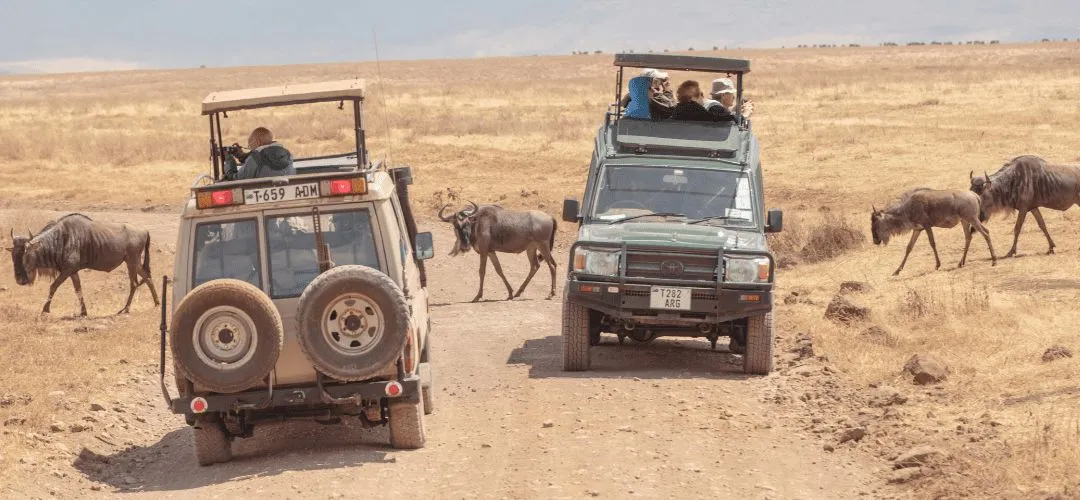 YGYZC Day 2: Loita Hills Masai Experience, Kenya