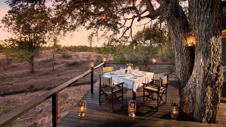 Safari reality check: Differences between luxury and overland safaris