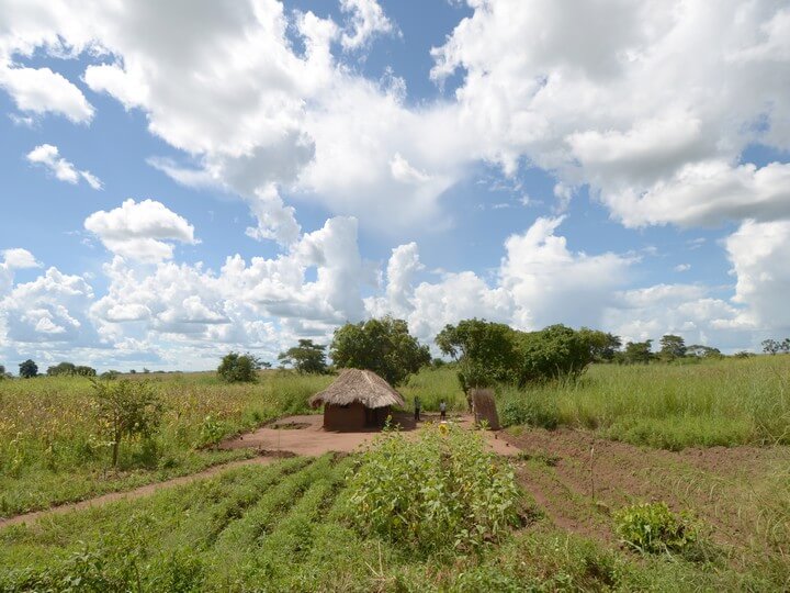 YXOEC Day 32: Lake Malawi, Malawi