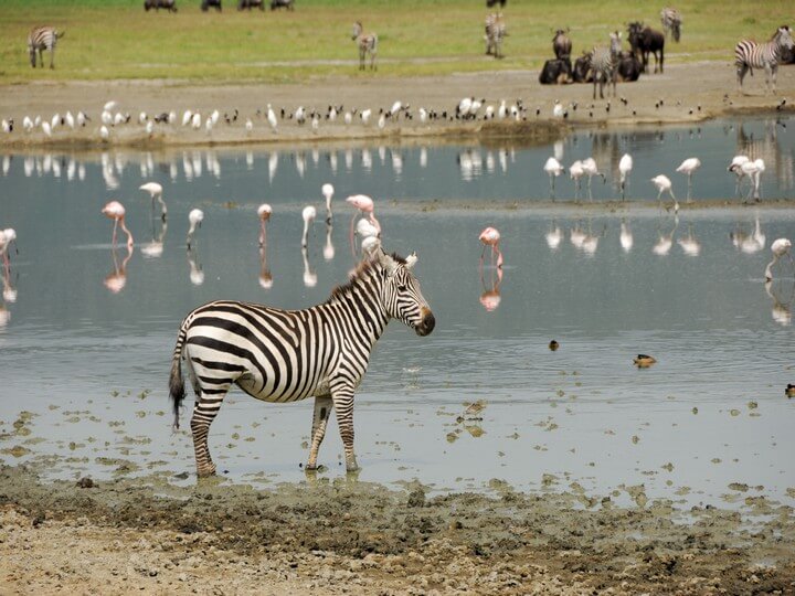 nairobi to cape town tour