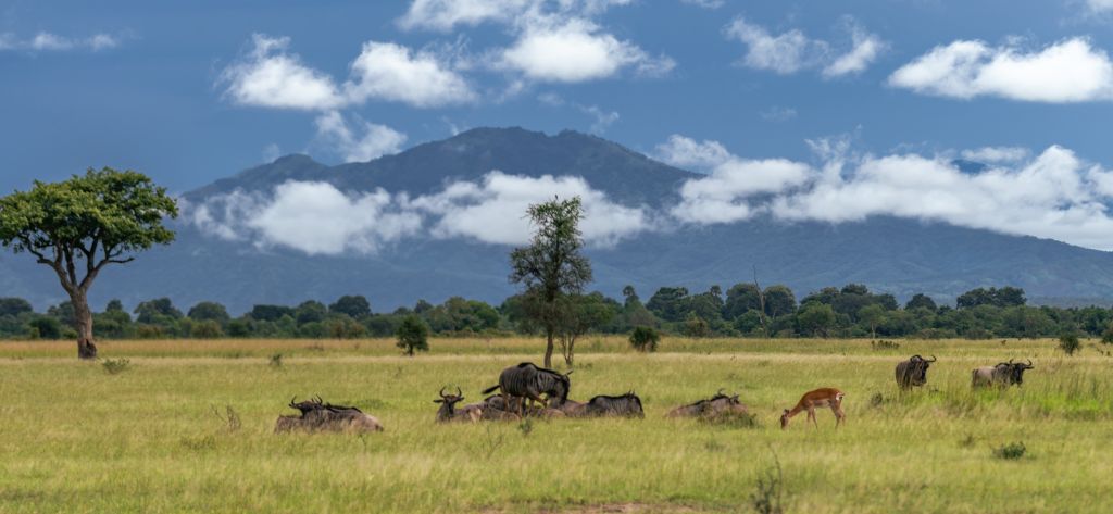 expect amazing weather conditions in different parts of africa during low season travel 