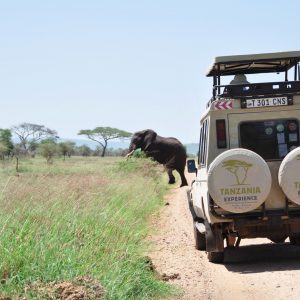 7 Day Highlights of Tanzania Lodge and Tented Camps