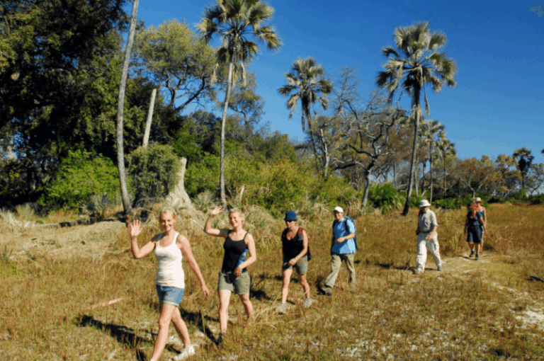 Five Reasons why You Should Be Spending More Time in Nature