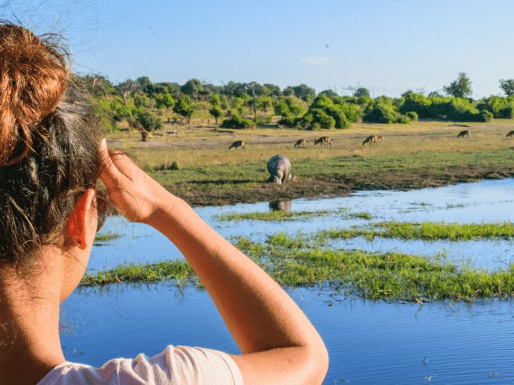 African Overland Tours Chobe Safari Tours