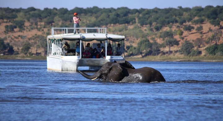 ANC58 Day 41 : Livingstone – Kasane, Botswana