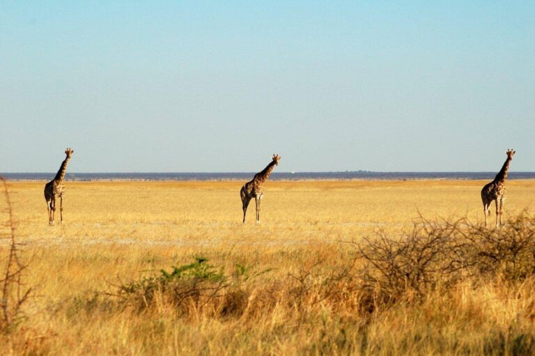 Namib-Naukluft Park, Namibia