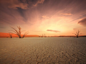 15 Day Private Guided Namibia Safari to Deserts, Wildlife & Iconic Sights