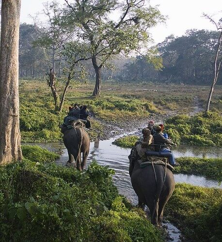 Elephant Back Safaris