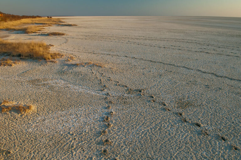 Etosha National Park, Why I love Namibia