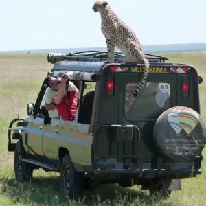 15 Day East Africa Migration Safari