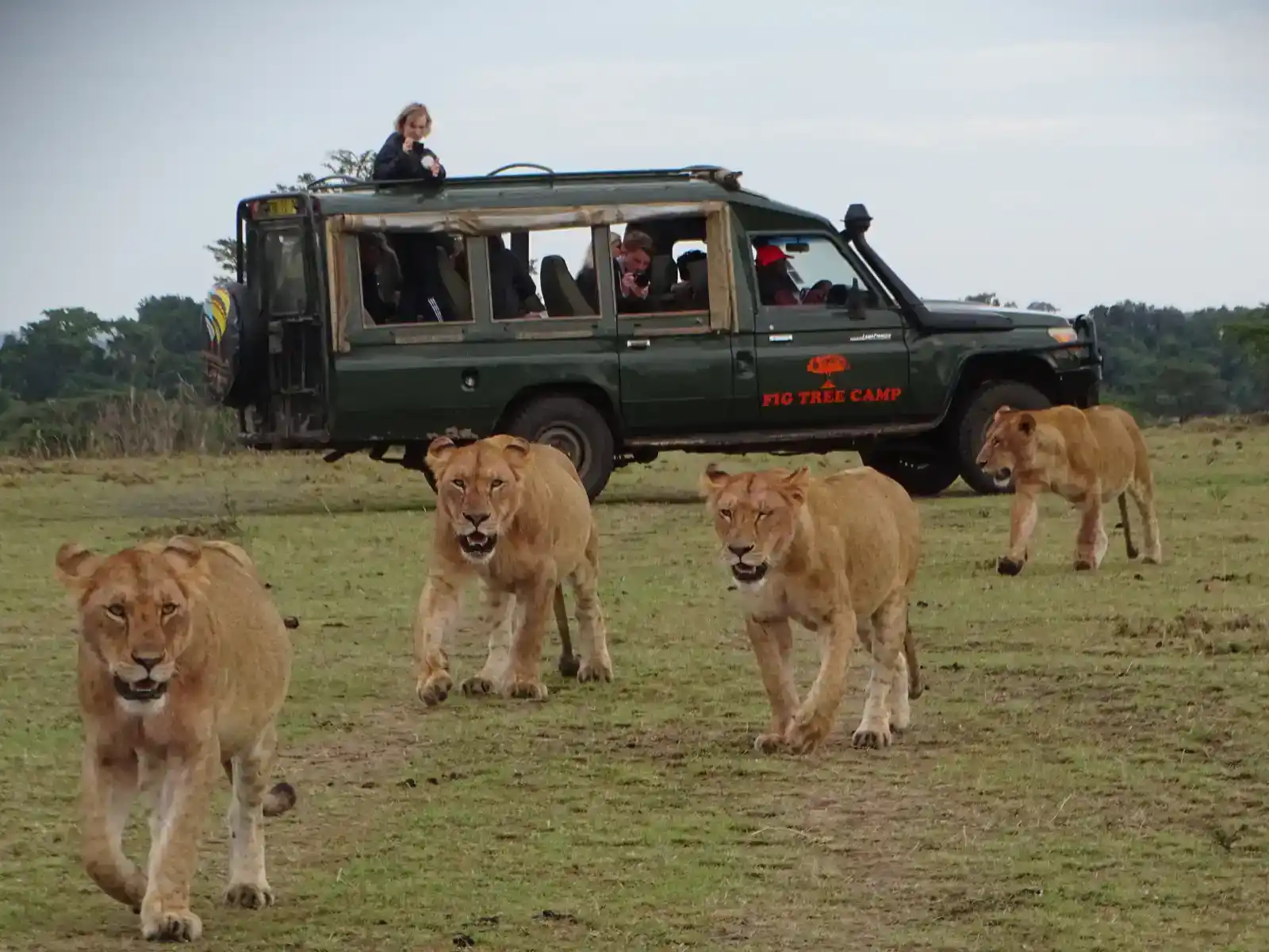 MND Day 12: Lake Victoria – Maasai Mara, Kenya