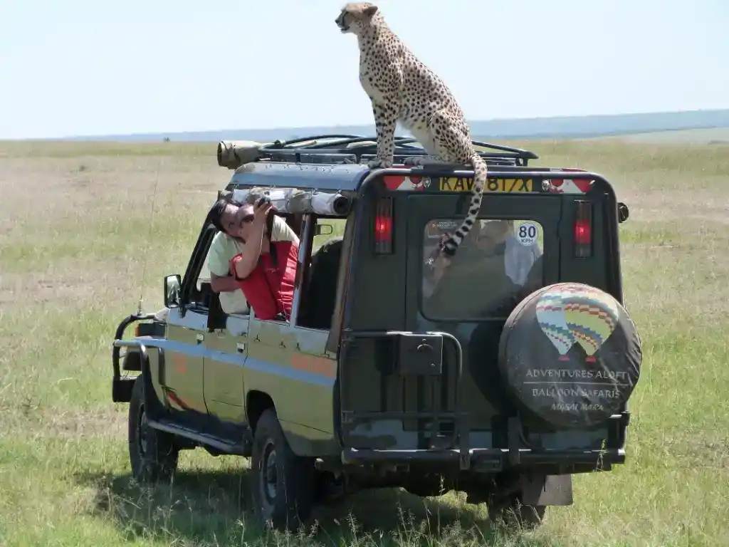 15 Day East Africa Migration Safari